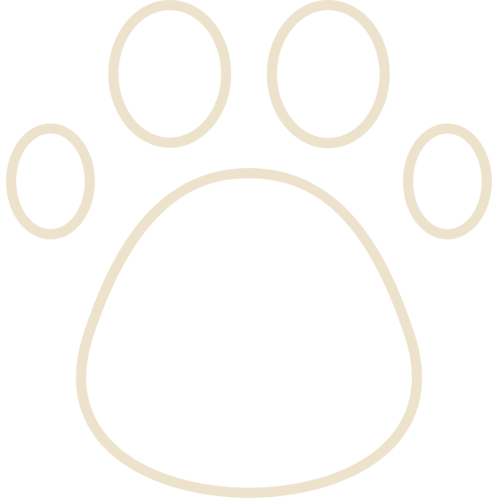icono-petfriendly