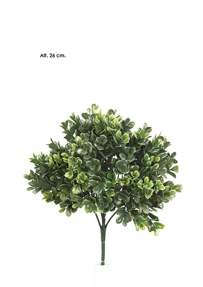PICK BOXWOOD. 26 cm. Verde
