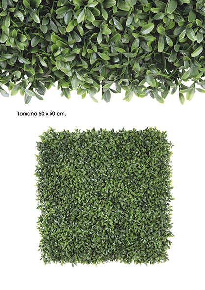 LOSETA BOXWOOD. 50 x 50. Verde.