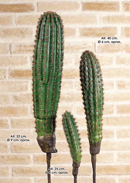 PICK NEOBUXBAUMIA Pe. 25 cm. Verde.