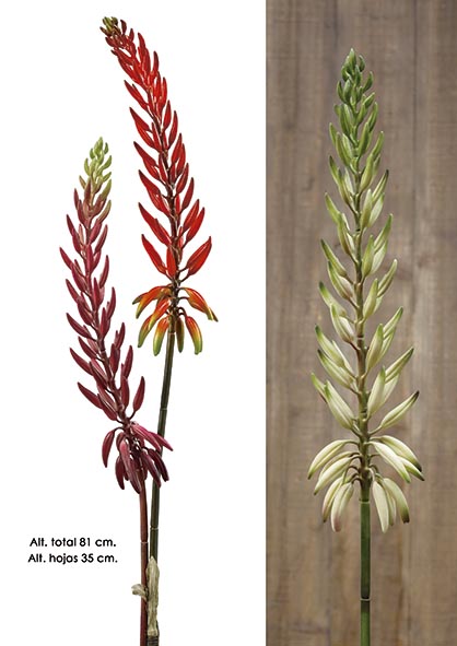 ALOE VERA. 81 cm. Naranja Fuerte.