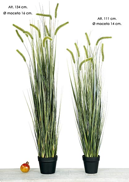 MACETA ONION GRASS. 134 cm.