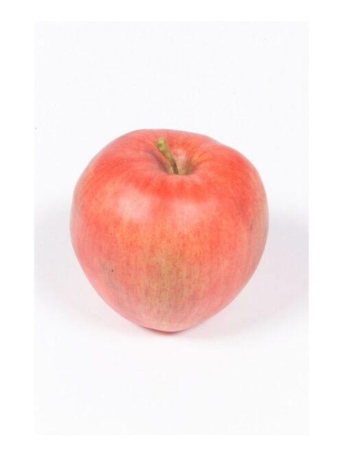 Apple giant w weigh 9cm t red