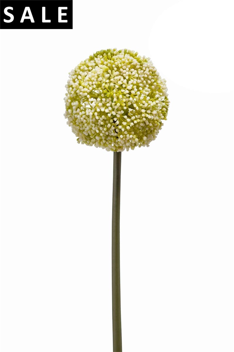 Allium stem 75cm white/green