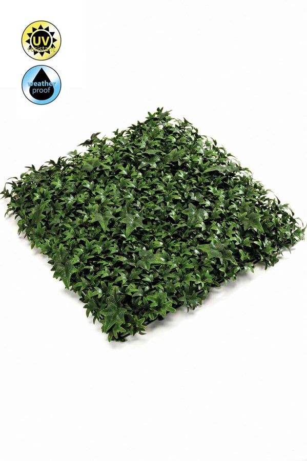 Hedera mat weather resistant/UV tt green 50x50cm