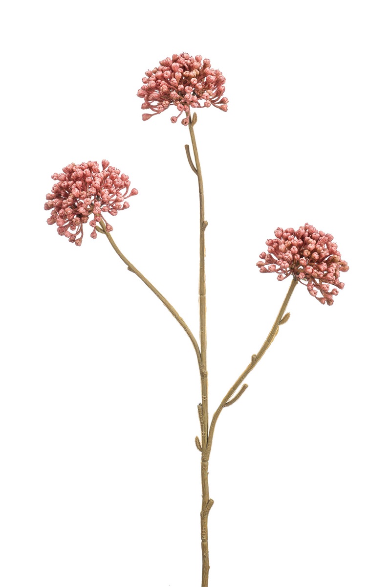 Allium mini spray x3 old pink 58cm