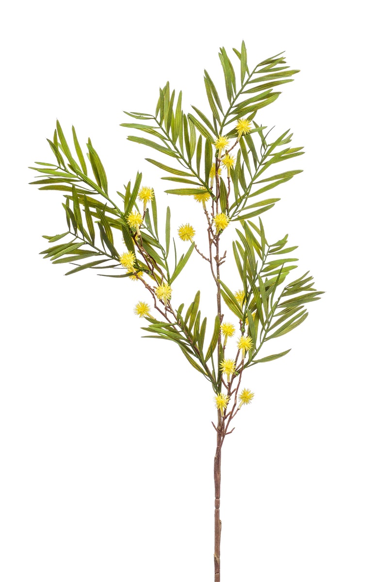 Acacia spray yellow 98cm