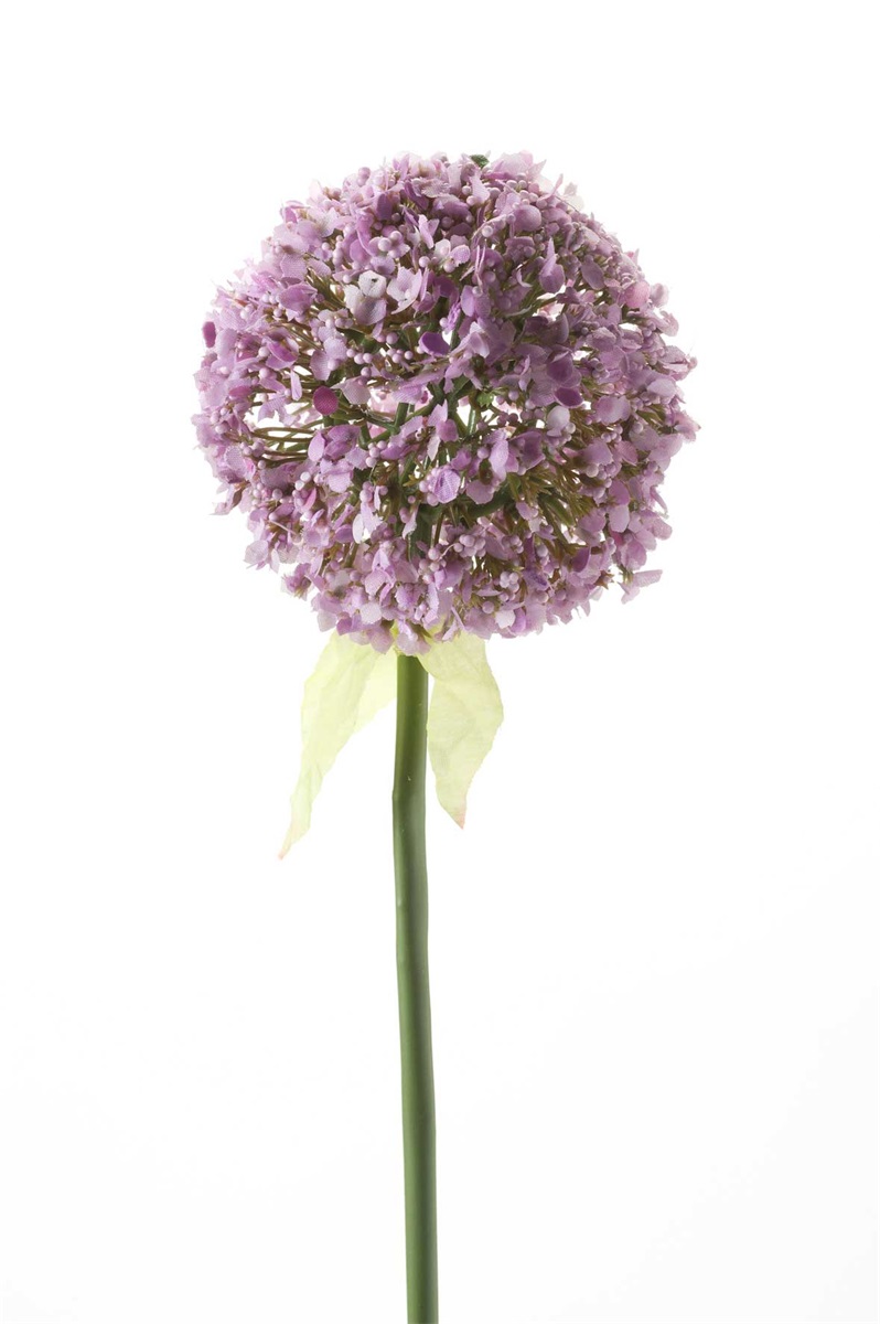 Allium spray lt purple 70cm