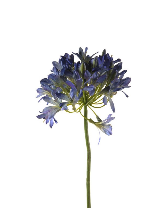 Agapanthus spray 88cm blue